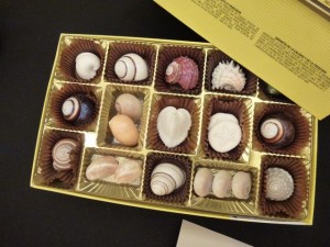 seashell candies whitmans