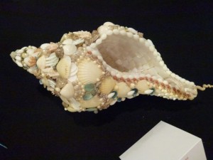 seashell encrusted shell