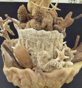 sponge sculpture sanibel shell fair 2012