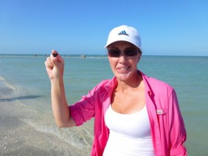 susan tiger sharks tooth