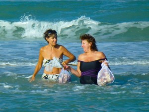 wading water seashells