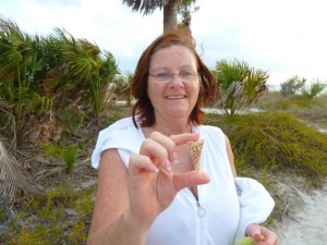 Patty junonia shell Patty junonia shell
