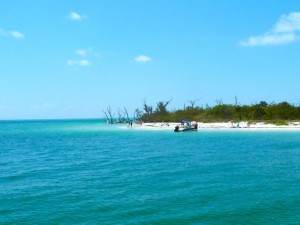 cayo costa south west florida