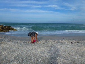 collecting shells captiva