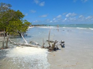 foamy lighthouse beach sanibel