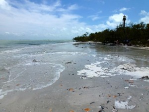 high tide line Sanibel lighthouse