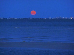 moon over ft myers beach moon over ft myers beach