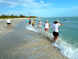 sanibel shellers row sanibel shellers row