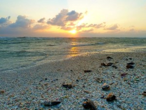 sanibel shells sunset sanibel shells sunset