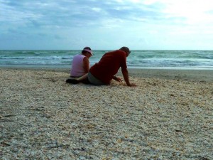 seashell collecting florida seashell collecting florida