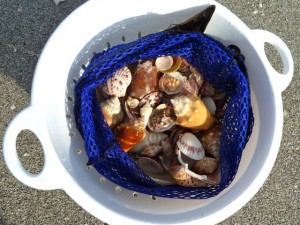 shell bucket strainer shell bucket strainer