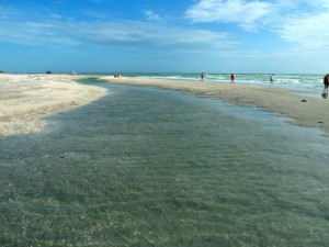 tidal pool sanibel blind pass tidal pool sanibel blind pass