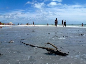 unusual beach Sanibel