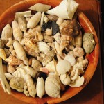 Shells For 76 shell fair 020