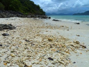coral island thailand