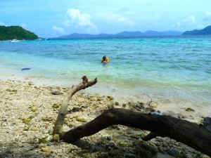 snorkeling coral island thailand