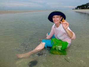 Dana conch shell sanibel