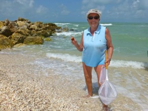 Janet GA shells captiva Janet GA shells captiva