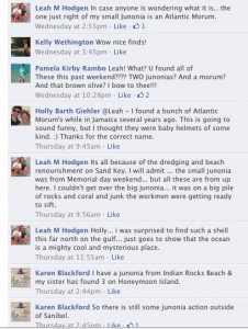 Leah shell convo facebook Leah shell convo facebook