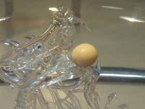 baler shell melo pearl baler shell melo pearl