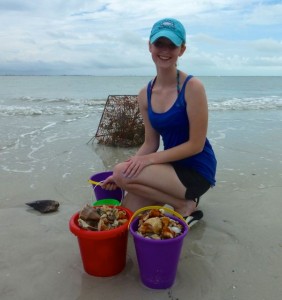 cara ga seashell bucket cara ga seashell bucket