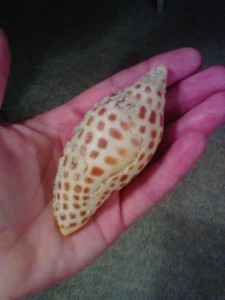carla junonia hand carla junonia hand