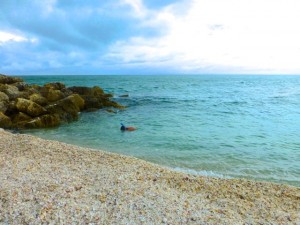 cody snorkel Captiva cody snorkel Captiva