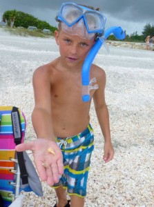 cody snorkeling sanibel cody snorkeling sanibel