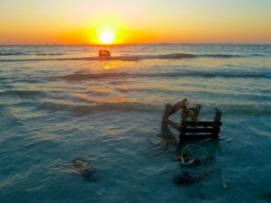 crab traps after storm crab traps after storm