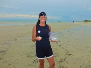 eilene sanibel shells
