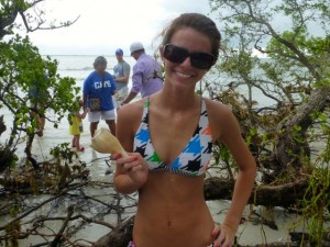 sarah elizabeth alabama whelk sanibel sarah elizabeth alabama whelk sanibel