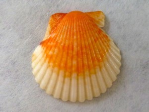 Lazy Days scallops