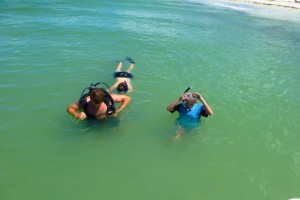snorkel cayo costa snorkel cayo costa