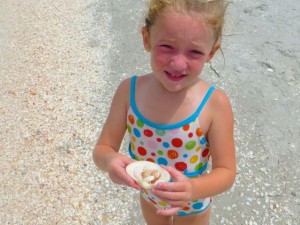 addison seashell beach