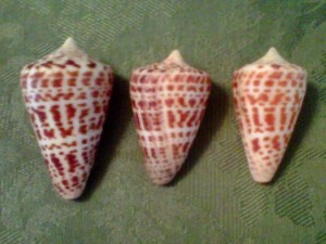 alphabet cones Maria DeLellis alphabet cones Maria DeLellis