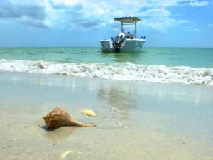 boat beach seashell