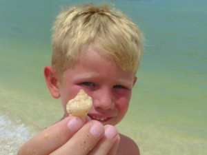boy with seashell