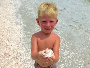 dallas seashells