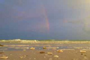 sanibel seashells rainbow