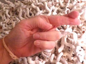seashell fingers crossed seashell fingers crossed