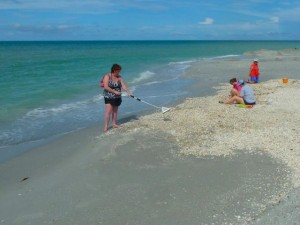 shelling Bowmans beach Sanibel