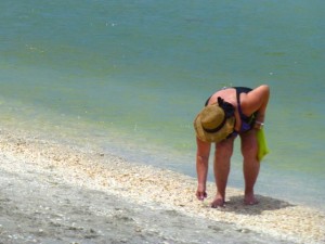 shelling sanibel gidget