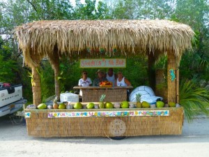 tammie's total care sanibel