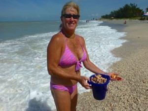 Amy bucket seashells