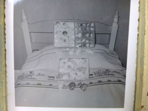 Clark 7 shell collection
