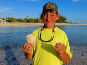 Evan sand dollar junonia