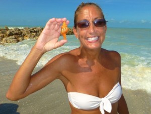 Jill Va Beach seashell
