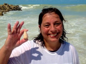 Louise captiva cone seashell