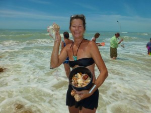 Sue St Pete Seashells