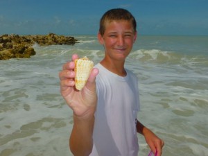 Tyler large alphabet cone seashell